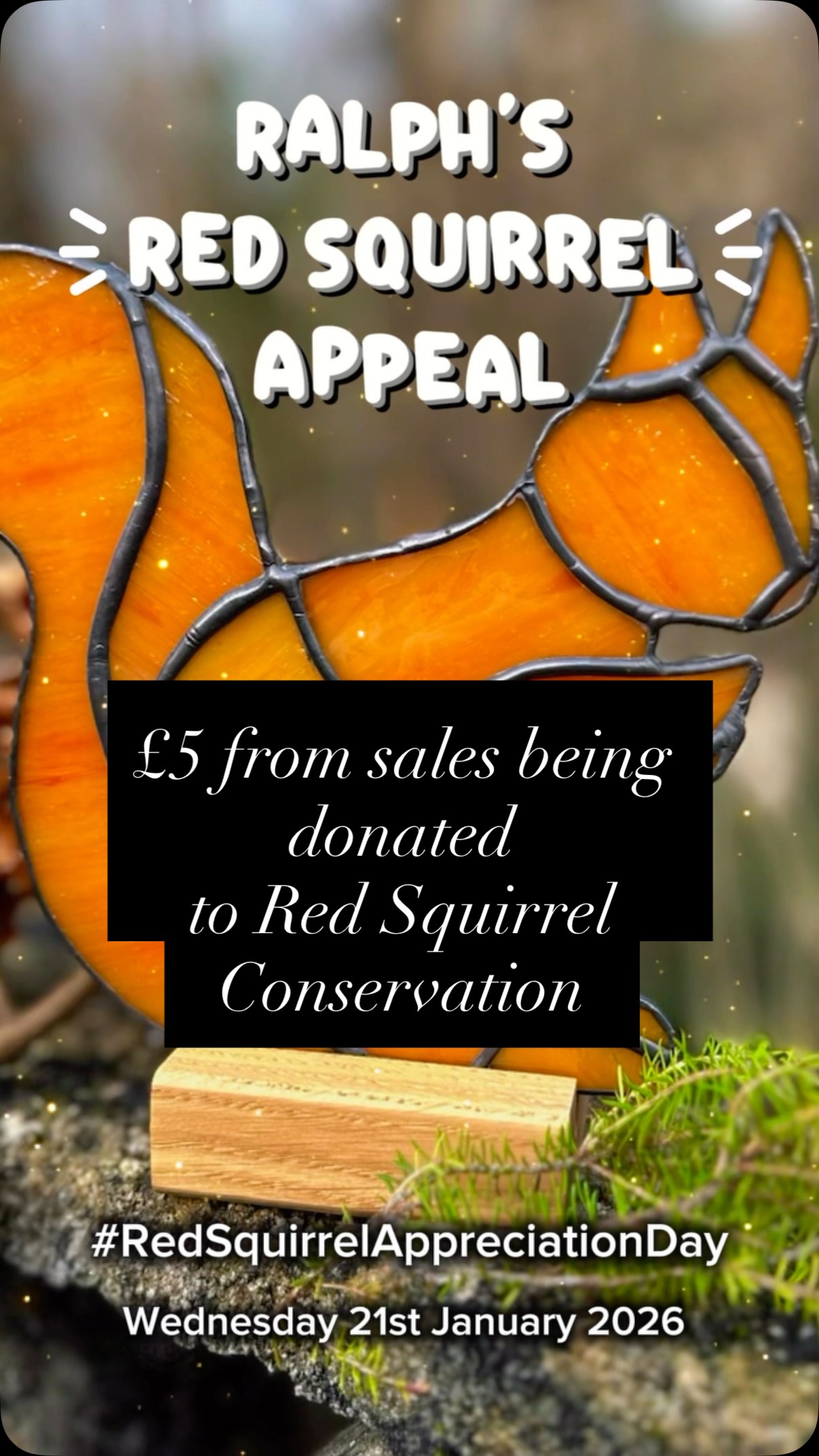 Happy #RedSquirrelAppreciationDay, UK! £5 from every ‘Ralph’ sale today & tomorrow will help conserve these gorgeous creatures.
Did you know red squirrels are the UK's only native squirrel and face threats from habitat loss, grey squirrels, and disease? I'm passionate about protecting Cumbria's population (one of the only places that still has them), especially a cheeky regular who comes to visit me at my workshop!
Order now and support the Cumbria Wildlife Trust & Penrith & District Red Squirrel Group by Thursday 🥰
www.northlakesstainedglass.co.uk/product-page/ralph-the-red-squirrel-suncatcher
#stainedglass #conservation #redsquirrel #squirrel #habitat #endangeredspecies #woodland #cumbria #lakedistrict #lakes #mountains #shoplocal #glassart #charity #glassartist #handmade #nature #wildlife #forest #lakedistrictnationalpark
@cumbriawildlifetrust @redsquirrelslakedistrict @redsquirrelsurvivaltrust @redsquirrel_sl @the_makers_mill @hare_hill_barn @rheged_centre @thehappyherdwick @ntlakedistrict @visitkeswick @visit_eden @lakedistrictcumbria @terry_abraham @make_it_at_market @edenvalleyartisticnetwork @arts_cumbria @cumbrialifemag @thecumbriaguide @landscapemag @bbcwildlifemagazine