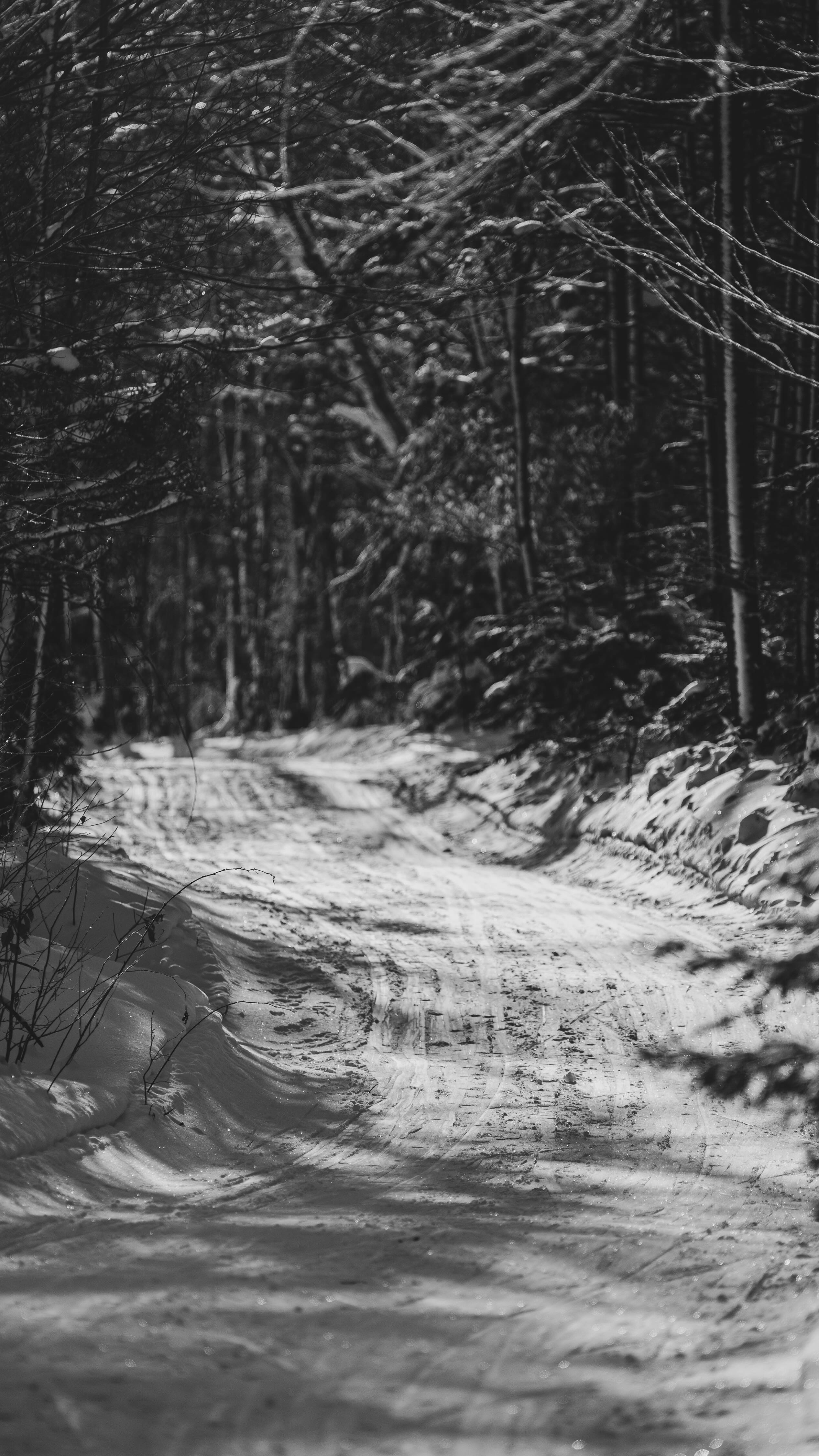 And let’s be honest, all I want to do is move outside everyday || How about you?