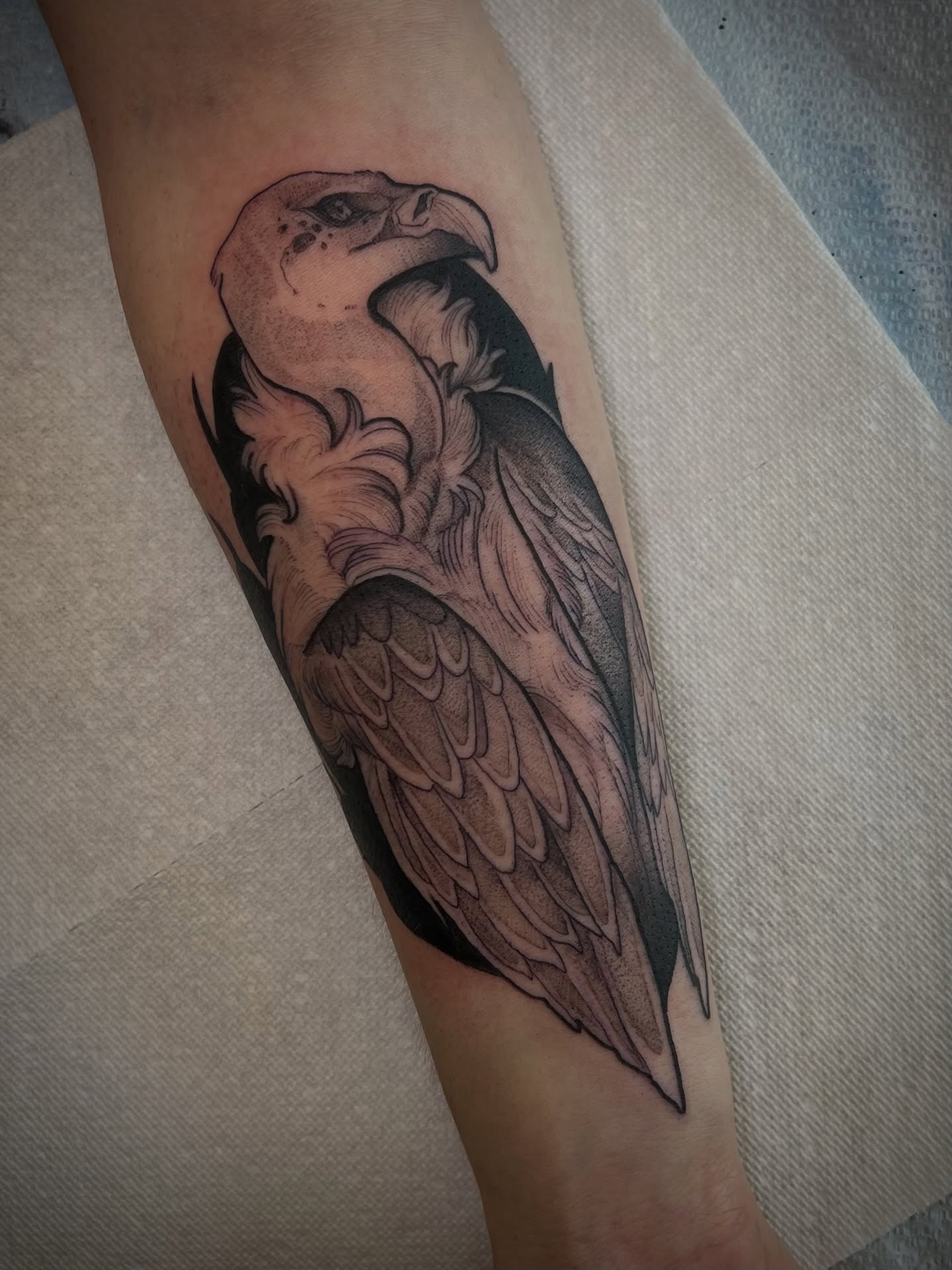 Ask a girl about vultures, she’ll know
#tattoo #naturetattoo #vulturetattoo #girlswhotattoo #blackworktattoo
