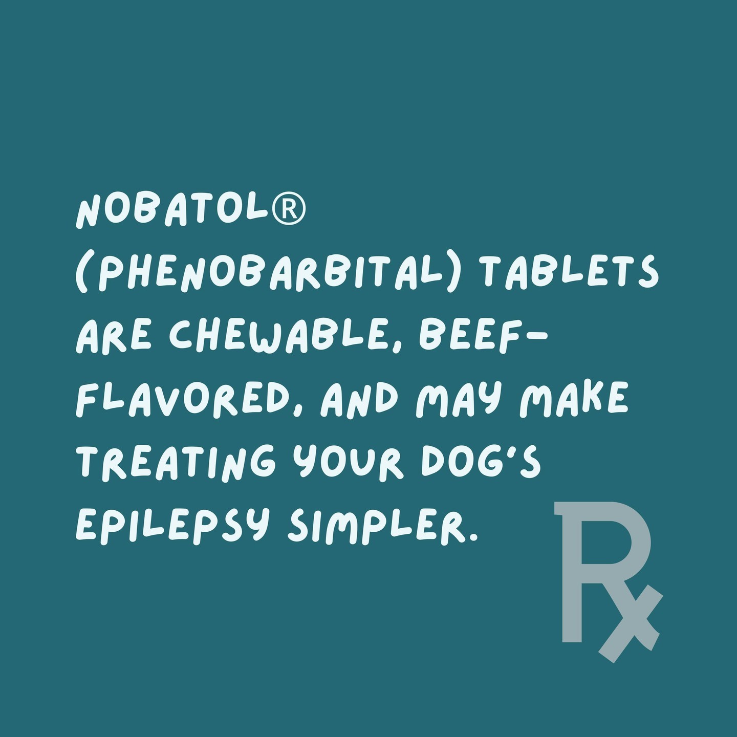 Treating canine epilepsy just became easier with Nobatol (Phenobarbital) tablets. 💊 #CanineEpilepsyAwareness
➡ For more information, visit nobatol.miznerbioscience.com #ThinkMiznerBioscience