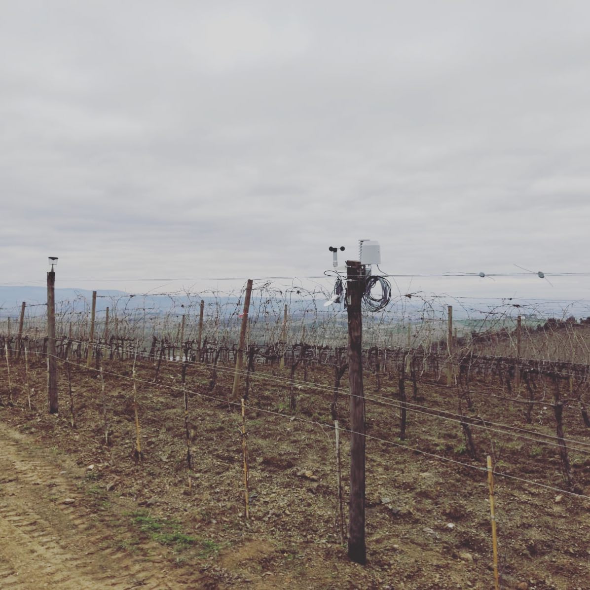 In questa foto una delle centraline che abbiamo nelle aziende che seguiamo.
🔎 I dati sono di fondamentale importanza per la gestione agronomica.
#viticolturadiprecisione #laboratorioenologicotoscano #viticoltura