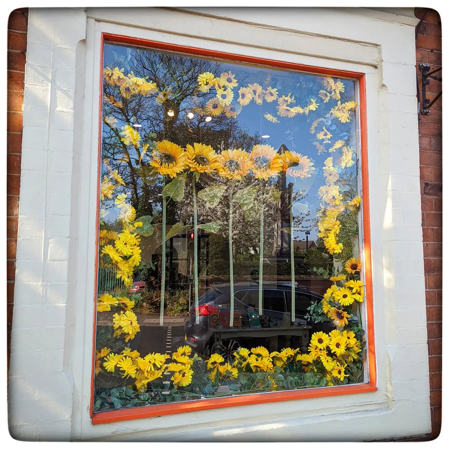 Lovely sunny morning working in Moseley village today.
#moseley #moseleyvillage #sunshine #sunflower #sunflowersπ» #birminghamlife #igersbirmingham #epc #spring