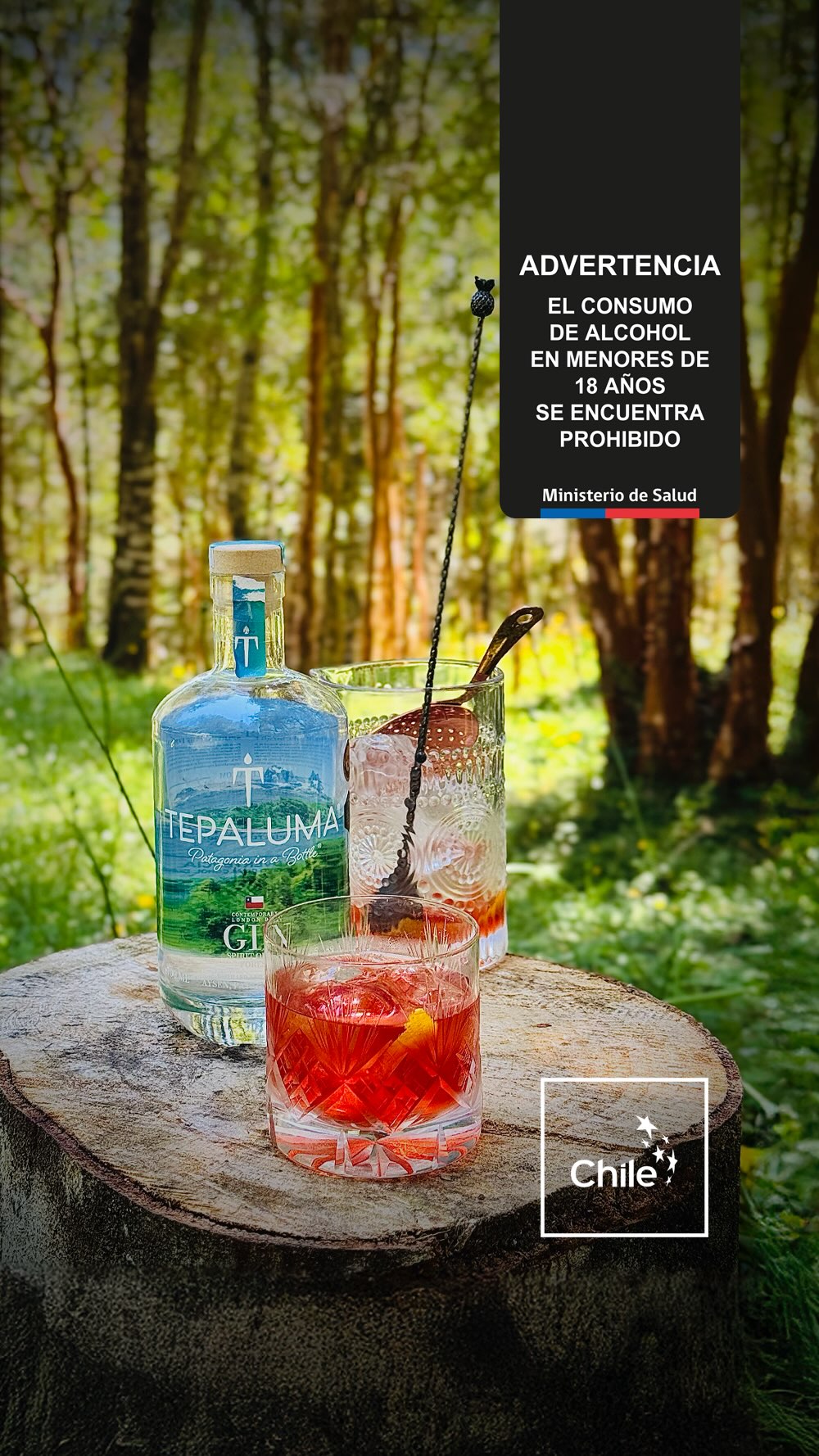 ¿Negroni time? ¡Yes for me!
¡Salud por los amantes de la buena vida y el disfrute, Tepaluma es para ustedes¡
#negronitime es un código interno que tenemos con el maestro destilador, Mark.
🍸 Tours + bar en la destilería
⌚️ Abierto de lunes a domingo de 10:00 a 13:00 y de 16:00 a 20:00 horas
📍 Carretera Austral, km 350
👉 Reserva tu tour en tepaluma.com/tour
Real. Salvaje. Icónico. Tepaluma®
📍 En la Región de Aysén distribuye Gran Calafate (+56 9 3233 0996) y nos encuentras en un sinnúmero de botillerías, supermercados y tiendas especializadas.
….
⚠️ ᴀᴅᴠᴇʀᴛᴇɴᴄɪᴀ: ᴇʟ ᴄᴏɴsᴜᴍᴏ ɴᴏᴄɪᴠᴏ ᴅᴇ ᴀʟᴄᴏʜᴏʟ ᴅᴀñᴀ ᴛᴜ sᴀʟᴜᴅ I ɴᴏ ʙᴇʙᴇʀ ᴀʟ ᴄᴏɴᴅᴜᴄɪʀ I ʀɪᴇsɢᴏ ᴘᴀʀᴀ ᴛᴜ ʙᴇʙé I ɴᴏ ʙᴇʙᴇʀ ᴍᴇɴᴏʀᴇs ᴅᴇ 𝟷𝟾 ᴀñᴏs I ᴍɪɴɪsᴛᴇʀɪᴏ ᴅᴇ sᴀʟᴜᴅ
ℹ️ᴠᴀʟᴏʀ ᴇɴᴇʀɢéᴛɪᴄᴏ ᴅᴇ ᴛᴇᴘᴀʟᴜᴍᴀ ɢɪɴ: 𝟸𝟺𝟶 ᴋᴄᴀʟ ᴘᴏʀ ᴄᴀᴅᴀ 𝟷𝟶𝟶 ᴍʟ I ᴛᴇᴘᴀʟᴜᴍᴀ ᴍᴀǫᴜɪ ɢɪɴ: 𝟸𝟷𝟽 ᴋᴄᴀʟ ᴘᴏʀ ᴄᴀᴅᴀ 𝟷𝟶𝟶 ᴍʟ I ᴛᴇᴘᴀʟᴜᴍᴀ ɢɪɴ ᴀñᴇᴊᴀᴅᴏ: 𝟸𝟺𝟻 ᴋᴄᴀʟ ᴘᴏʀ ᴄᴀᴅᴀ 𝟷𝟶𝟶 ᴍʟ
#TepalumaGin #Patagonia #PatagoniaChilenia #DestileríaTepaluma