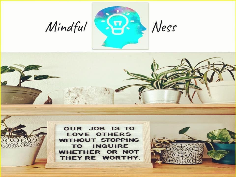 Our program consists of 5 wellness indicators and for our first post we would like to highlight: MINDFULNESS - -"Paying attention in a particular way: on purpose, in the moment, and non-judgementally"
During these unprecendented times, practicing mindfulness appears to be more of a safety net than a coping mechanism ...
Many of us are hurting in some form or fashion and it is easy for one to project our hurt and confusion through isolation, anger, depression, or hopelessness.
#ampmmindfulness #ampmwellness
Visit our website ampmwellness.com & download the wix app & input the code : NSA185