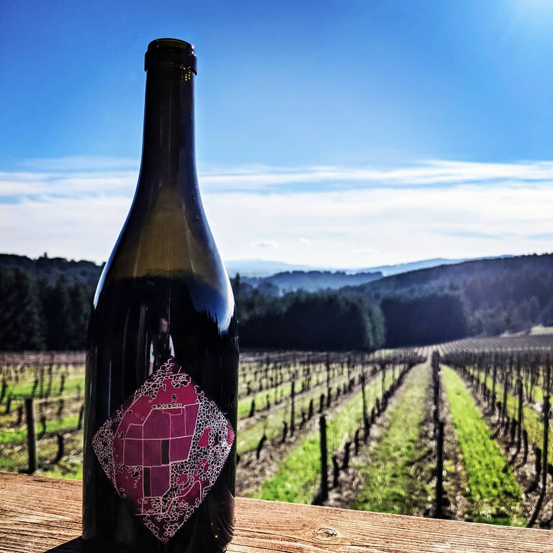 Windhill squared. Pure bliss.
#eieiowines #pinotnoir #oregonwine #vineyardlife #oregonwine #oregonpinot #viticulture #oregonwinecountry