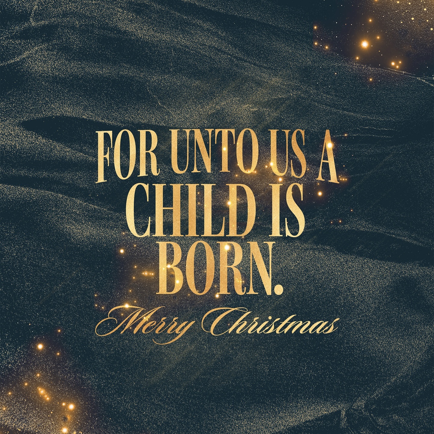 Merry Christmas from Books in Bars 🎄