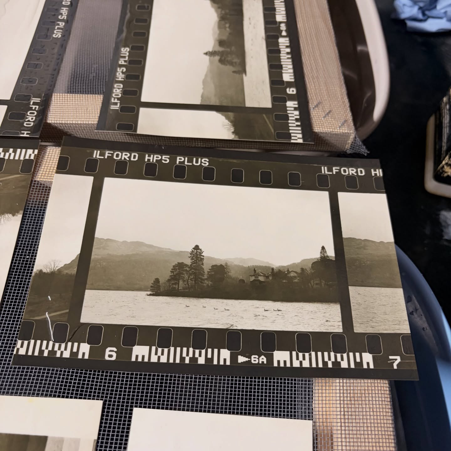 Look at this BEAUTIFUL cafenol print~ a print developed in a hand made coffee, vitamin C powder and washing soda solution! I loved working with Leura yesterday. We chatted about all things photography, our shared love of darkroom processes and finding like minded people.