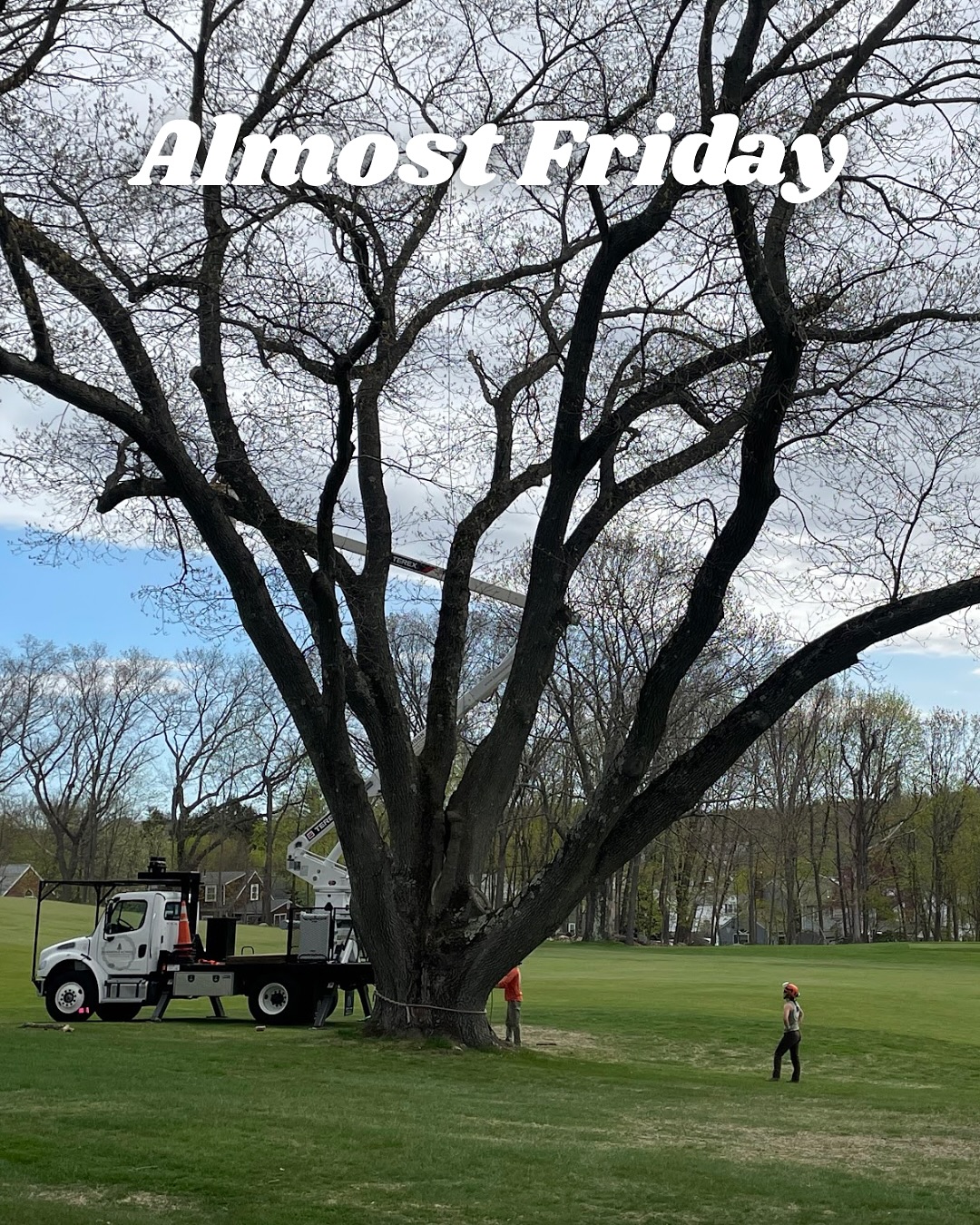 Let’s finish out the week strong!🌲💪
*
*
*
*
#nextgenarborist #lovemyjob🌳 #outdoorlivingspaces #forestbathing🌲 #forestbathing #arborists #arborist #arboristlife #outdoorcareers #treepreservation #treepreservationforthenextgeneration #outdoorliving #ilovenaturewalks #industrialathlete #industrialathletes #landscapinglife #planthealthcare #planthealthcarespecialist #treecareprofessional #treecareprofessionals #massachusettsarboriculture #backyardliving #plantatree #urbanforest #urbanforester #treecarespecialist #treecareindustry