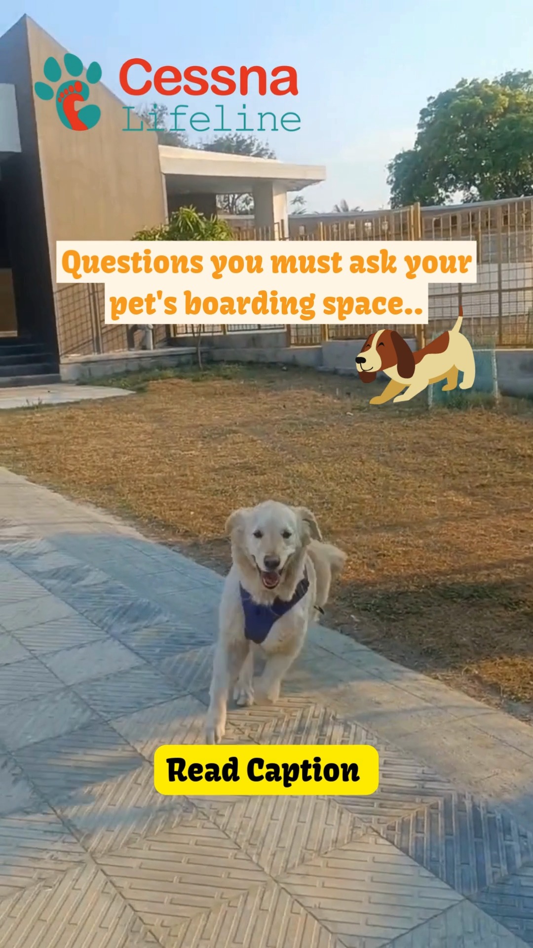 🐾 Questions you MUST ask before choosing a boarding space for your pet… 🏡✨
Because where your pet stays matters just as much as how they’re cared for. 💛
Before you say yes to any boarding facility, make sure you ask these important questions 👇
🐶 Who will be supervising my pet and how often?
🍽️ How are meals, medications, and special diets handled?
🏥 Is a vet available in case of emergencies?
🐾 What does a typical day look like — play, walks, rest?
🧼 How are hygiene and cleanliness maintained?
📸 Will I get updates, photos, or videos of my pet?
The right answers = peace of mind while you’re away.
Because boarding should feel like a second home, not a compromise.
💡 Pro tip: Always visit the facility once before booking — trust your instincts and your pet’s comfort.
📌 Save this checklist for your next trip & share it with a pet parent planning a vacation!
#cessnalifelineveterinaryhospital #cessnalifeline #20yearsofcessnalifeline #petboarding #petretreat #dogboarding #petparenttips #responsiblepetparent #fearfreepets