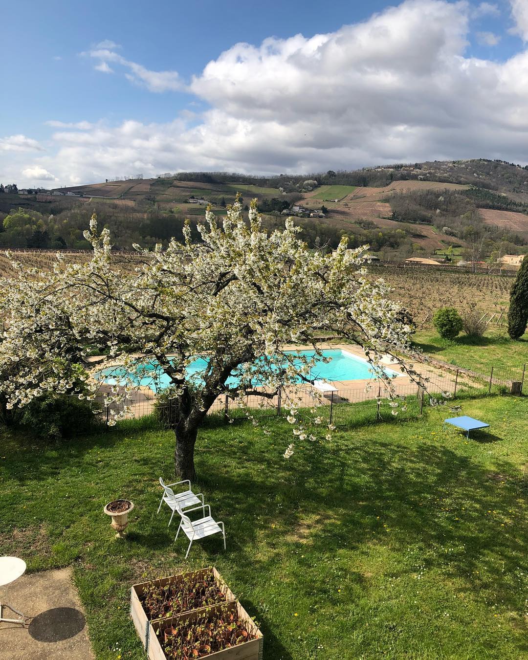 Les coteaux de Chenas vus depuis la Bottière de Louis Clement David Beaupère a Julienas.
#beaujolais #thillardon #julienas #chenas