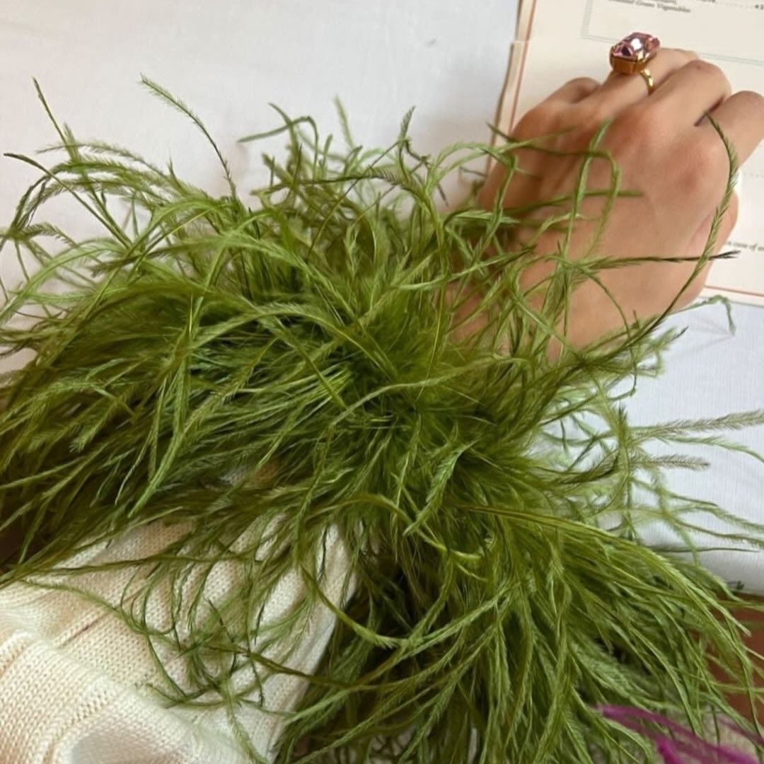 Just a tad outrageous