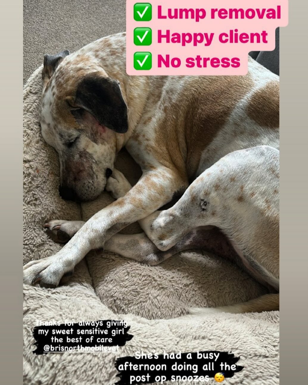 Another surgery done today at our base clinic. ๐ฅ We are very grateful for our appreciative and supportive clients. โค๏ธ Dr. Nell, Eric and Jess