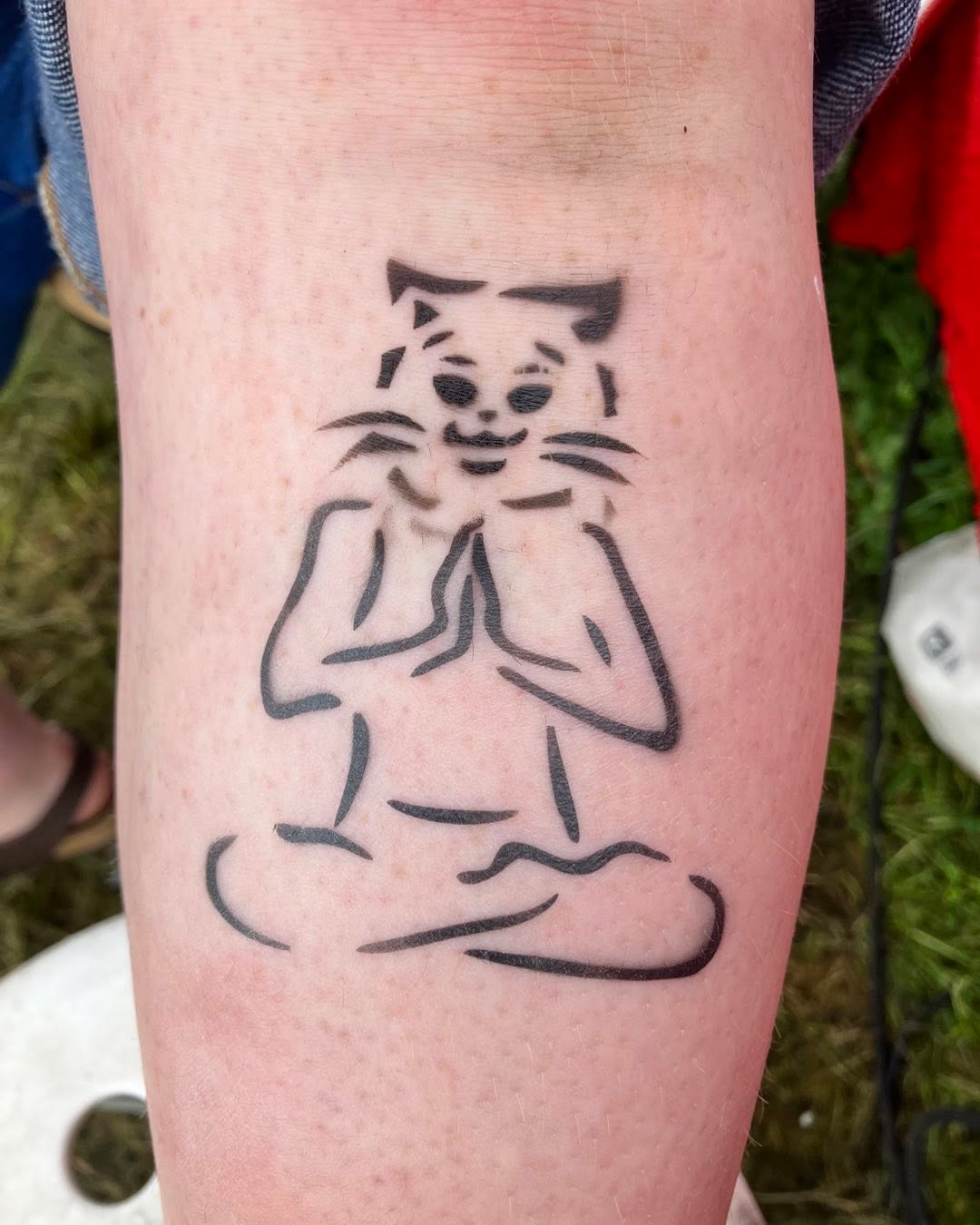 Meditation cat
