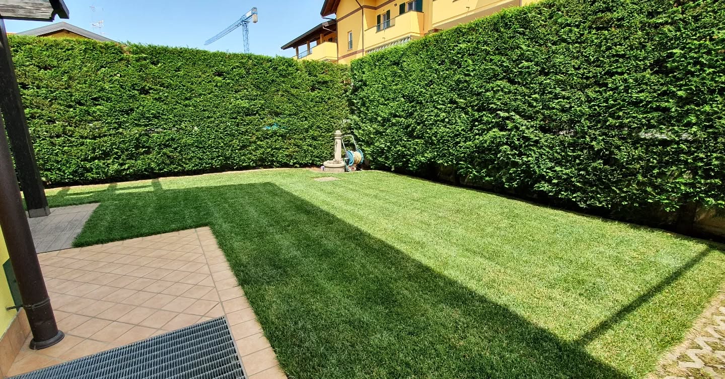 Prato in zolle a distanza di 9 mesi dalla posa.
.
.
.
.
.
.
.
#aiuola #fiori #giardino #garden #piante #verde #aiuole #giardinaggio #giardini #flowers #green #prato #giardiniere #giardinieri #manutenzione #aiuolafiorita #gardening # #giadiniere #plants #landscape #granulati potatura# siepi