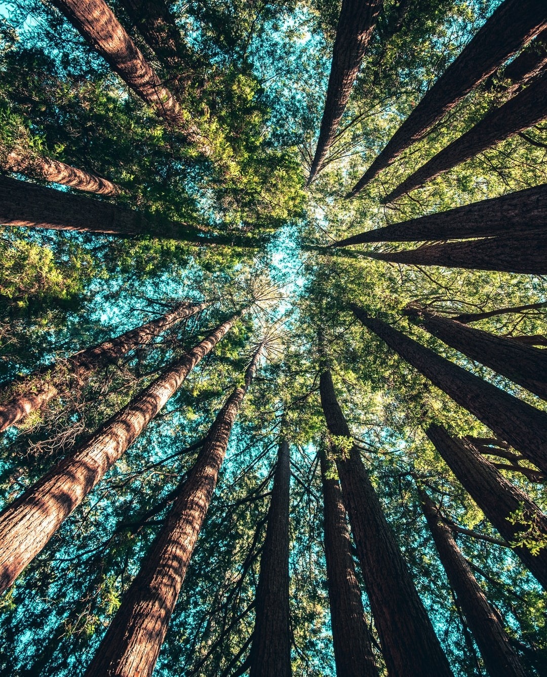 🌼🌿 Happy Earth Day!! 🌿🌼