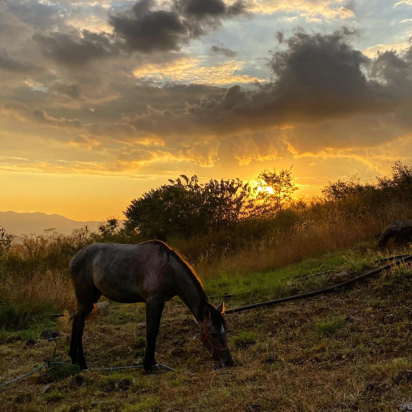 Merienda vespertina
———————————————
Si estás en busca de desconectarte de la ajetreada ciudad, no dudes en venir a @verymuyepico conéctate con la naturaleza y contigo mismo
.
.
.
.
.
.
.
.
#vidamexico #mexicolors #visitmexico #mexicomagico #mexicomaravilloso #mexicodesconocido #travelphotography #travelerslatam #travelgram #mexigers