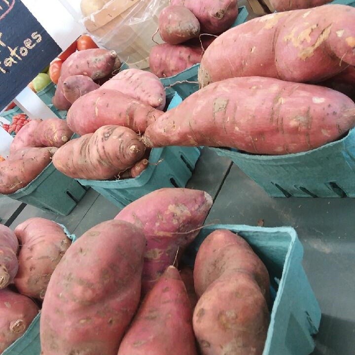 Our own sweet potatoes are also at the stand now. They make THE BEST fries!
.
.
.
#coldspringfarmny #lawyersville #Cobleskill #farmstandfinds #sweetpotatoesfries #sweetpotatoes