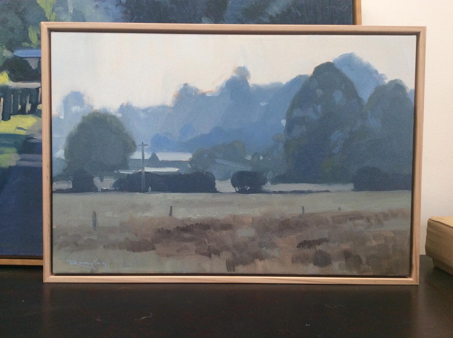 Sea mist on the paddocks