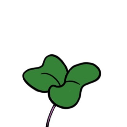 8/9 Logo Post 🤙 #grossstadtoase #microgreens #superfood #organic #delicious #handmade #urbangardening #lifestyle #gourmet #nachhaltig #picoftheday #vegan #vienna #die_grossstadtoase