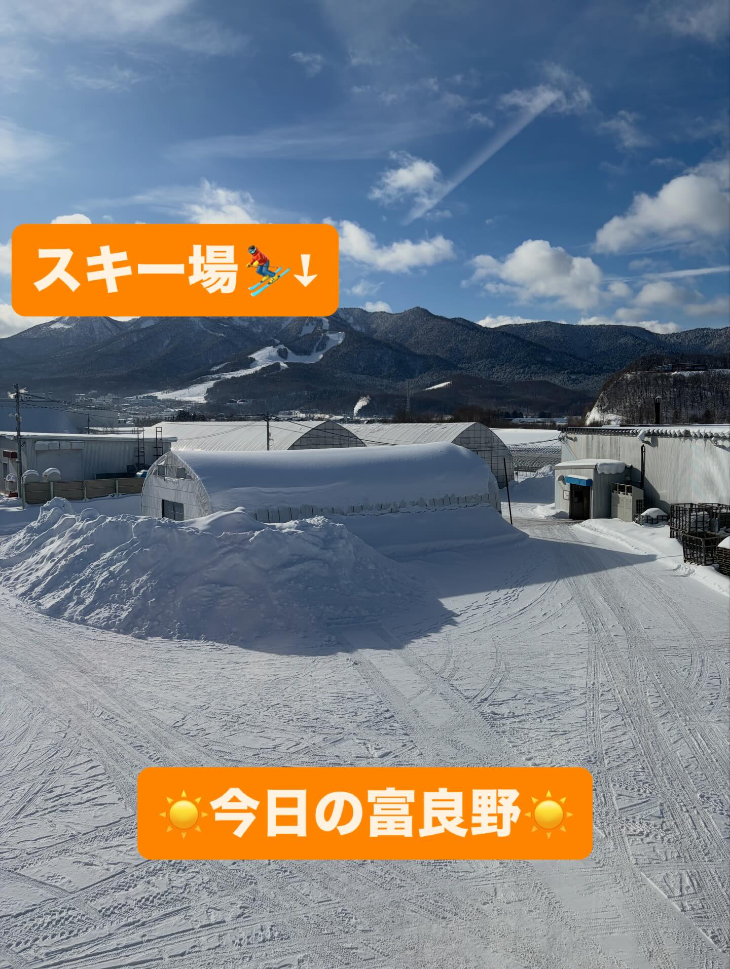 富良野青果センター、村上です
今日の富良野は–21℃、大寒波☃️
でも、快晴☀️
全国各地で大雪が降って、交通障害が出てるとこもありますが、みなさんお気をつけてください🚗
うちの事務所からは、⛷️富良野スキー場がよく見えます
直接距離にして2.5km‼️
ゴンドラや滑ってる人も見えるとこです👀
最近はバックカントリーで遭難する方も居ます😱
ルールを守って楽しみましょう💪
#富良野#農園#スキー#大寒波