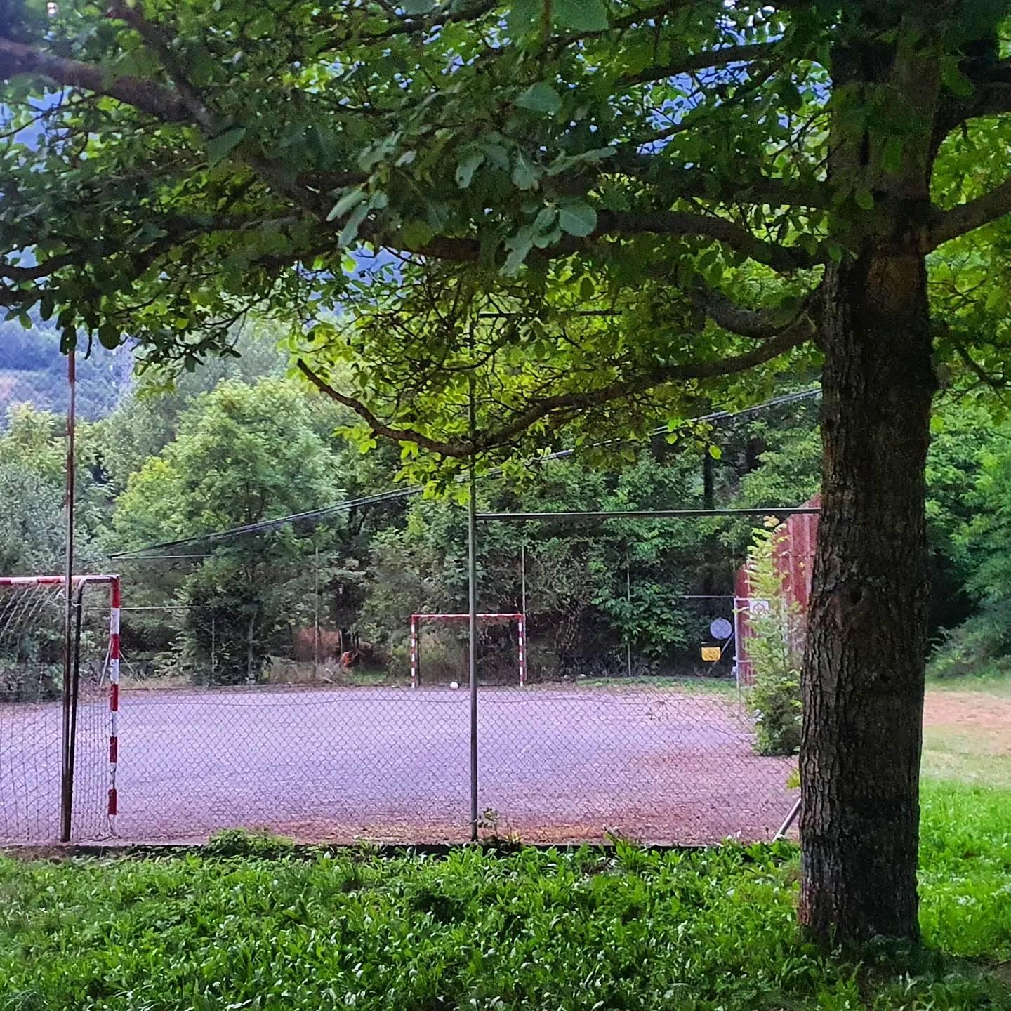 ⚾️🎾 multipista