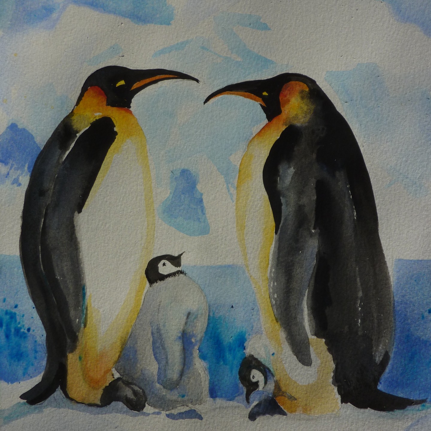 Emperor Penguins
Watercolour 30cm x 42cm
#emperorpenguin #antarctica #wildlifeconservation #wwf #climatechange #penguin #penguinlife #watercolourillustration #oceanconservation
Emperor Penguins are adapted to survive extreme temperatures of - 50 C and icy winds of up to 200 km/ hour, these beautiful birds live in up to 50 colonies on Antarctica.
They can dive up to 564 m down, twice the length of the Shard in London. They stand a lofty 120 cm tall and weigh up to 40 kg.
Threats to their environment due to climate change need addressing urgently and the WWF is funding necessary research to help protect them.
As a faithful pair, after mating, the female lays her one egg in May/June and passes it precariously across to the male,
who lovingly incubates the egg under a pouch of feather and fat. He balances it on his feet, until the female return from her nine weeks away feeding at sea.