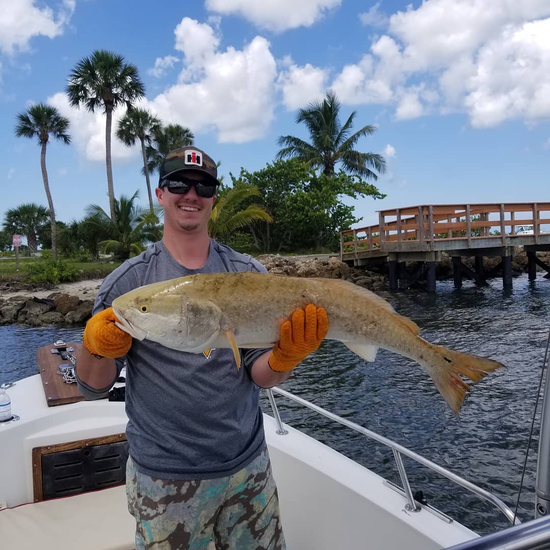 Nice redfish, too big to keep