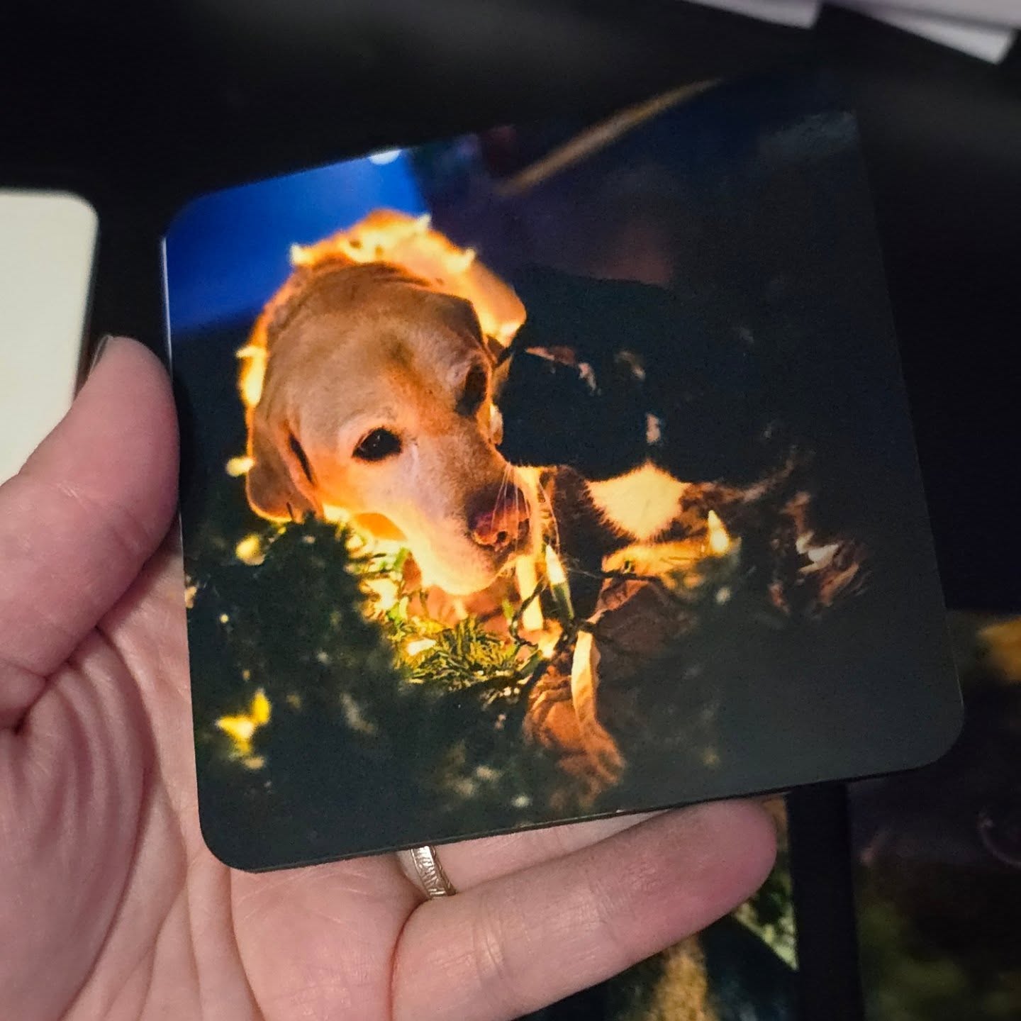Any interest in custom coasters?
I can put any picture you want on them. They're a light weight cork coaster.
Would be 4 coasters for $20 or 2 for $12.
Comment below if you'd like to place an order! Could make a fun Valentine's Day gift!