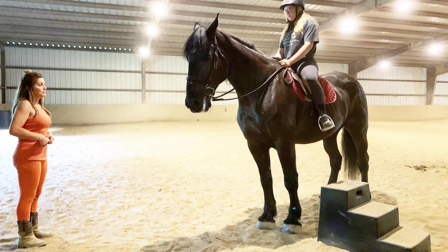 Baker being a good boy! #Percheron #Lessons