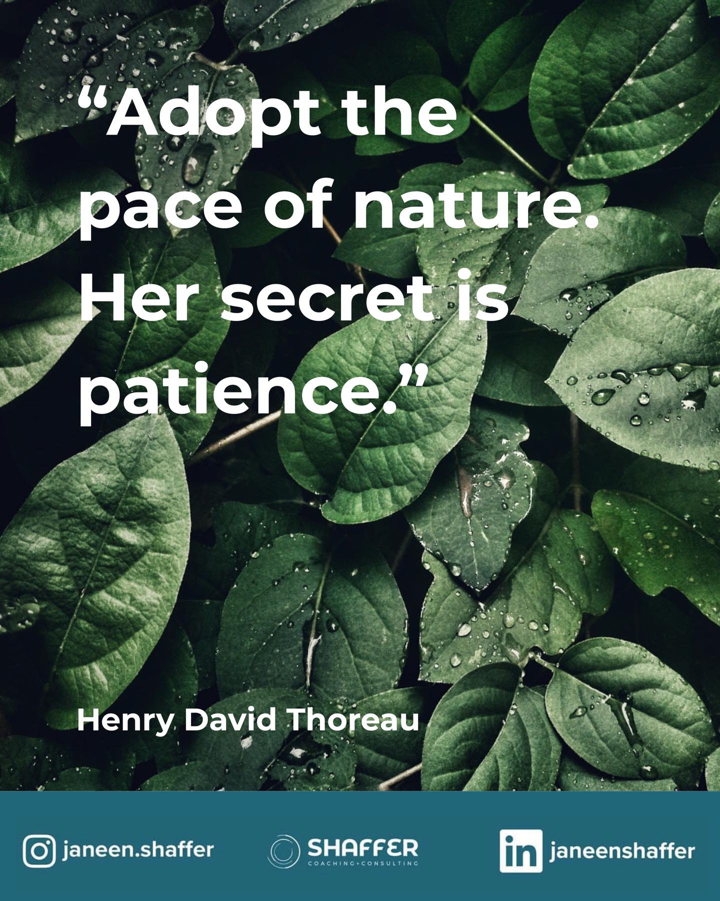 A gentle reminder that not everything needs to be rushed. Growth is still happening, even when it feels quiet. As we continue to navigate the winter months, remember it’s okay to move a little slower, breathe a little deeper, and trust the timing of it all.
#motivation #winterinspiration #mindful #takeabreak #trust