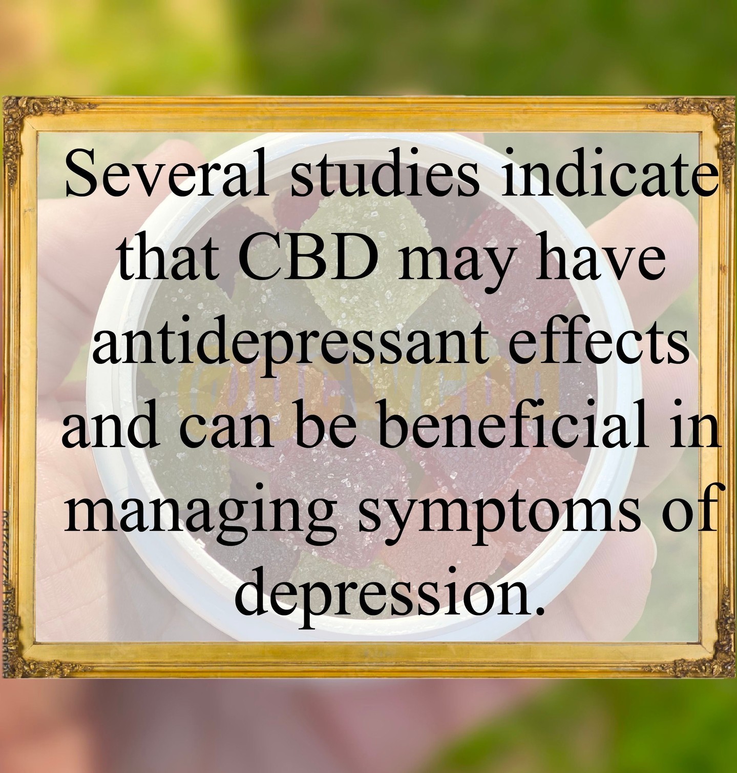 How much do you know about CBD? Checkout this fact!
#cbd #cbdfacts #fact #learn