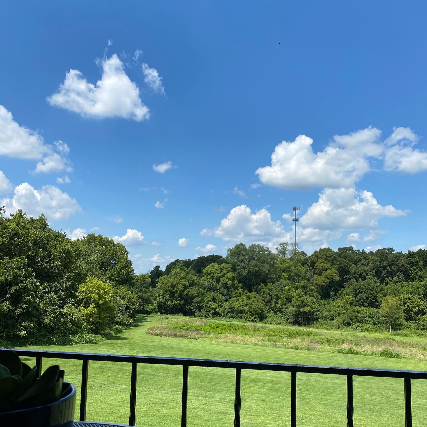 Grateful for beautiful days like this ☀️#nature #sunnyday #clouds #apartmentview #newapartment #balcony #breeze #bluesky #natureview #trees
