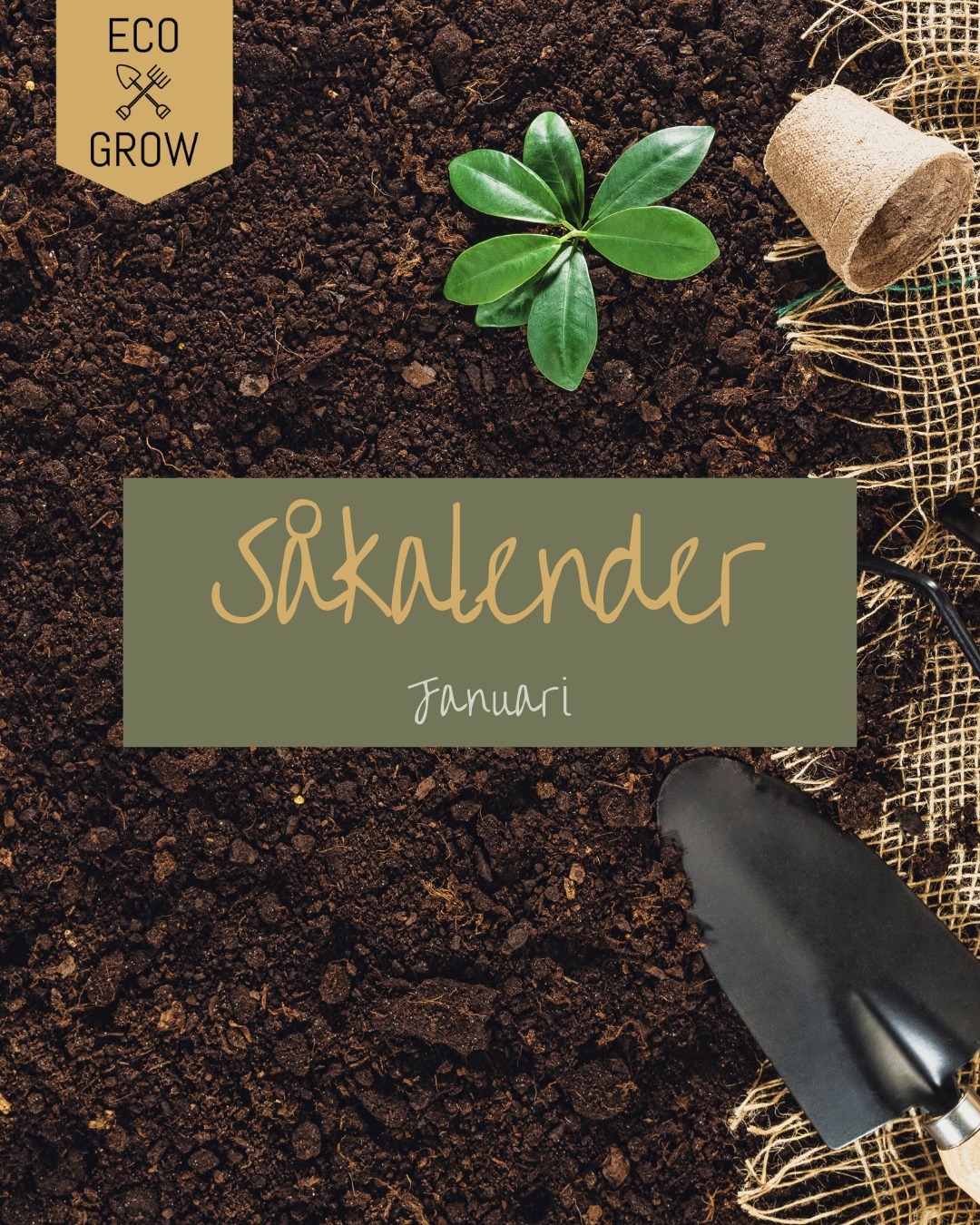 Januari 🌱🌶 - Vi går mot ljusare tider och det börjar klia i odlingsfingrarna!☀️
Det är inget måste att sätta igång med odlingen redan nu, men man är ju sååå sugen!
Här har vi några förslag på vad man kan förodla inomhus redan nu under växtbelysning - fröer hittar ni på ecogrow.nu🌱