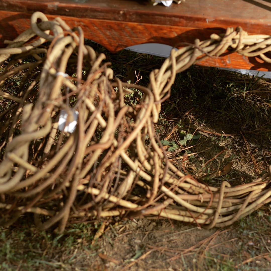 Horn of Plenty anyone!