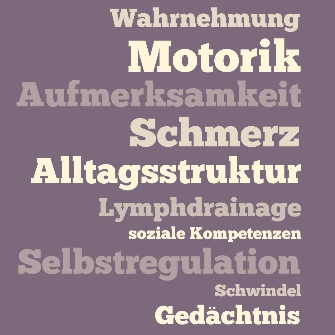 Wir haben einen ungeheuren Wissensdurst und schätzen die Vielfalt unseres Berufs.
Wir schnuppern darüber hinaus auch gerne schon mal in andere Disziplinen rein, um unseren Horizont zu erweitern und unsere Patient*innen möglichst umfassend beraten und behandeln zu können.