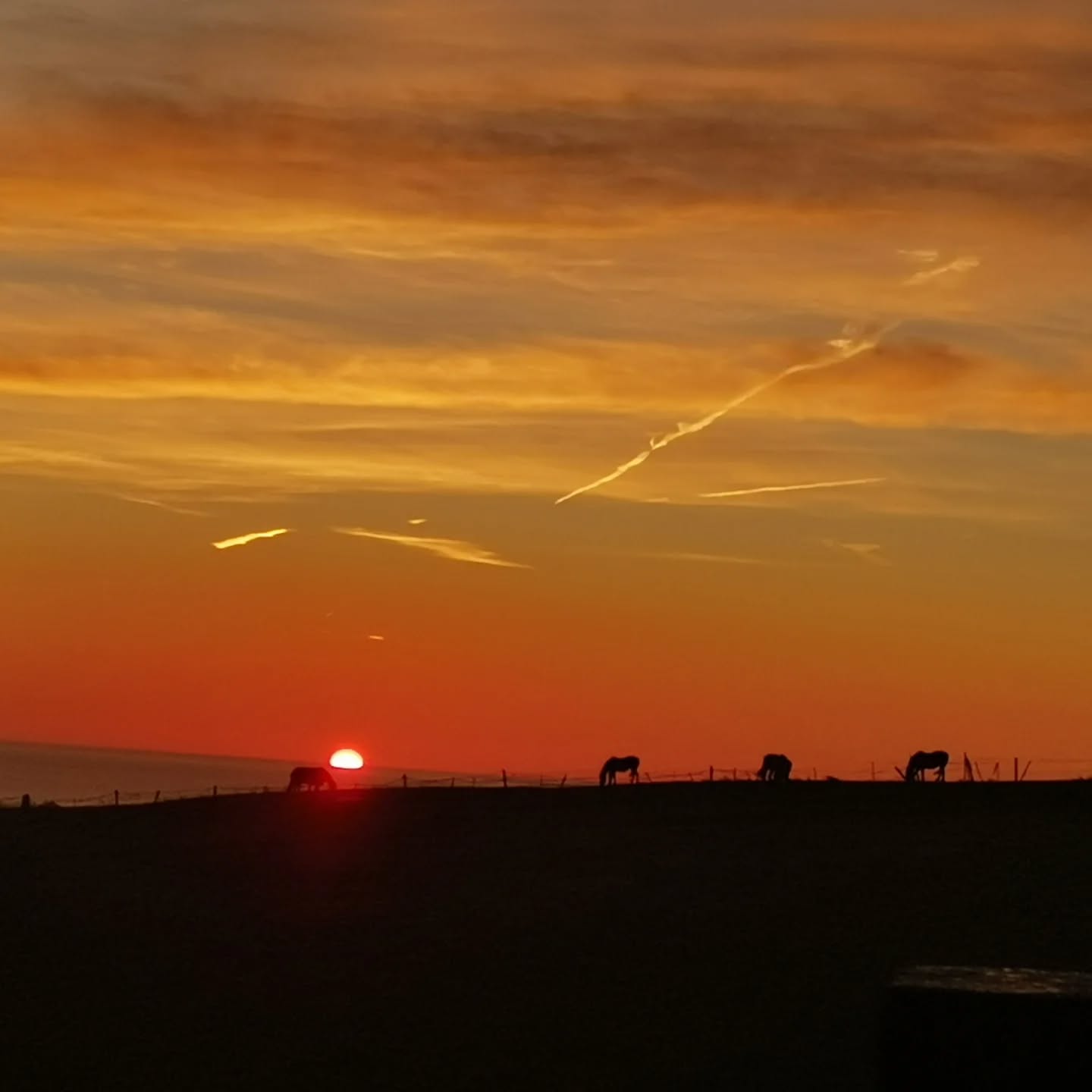 Some times taking a detour is worth it!
Sunrise over Lamberton this morning.