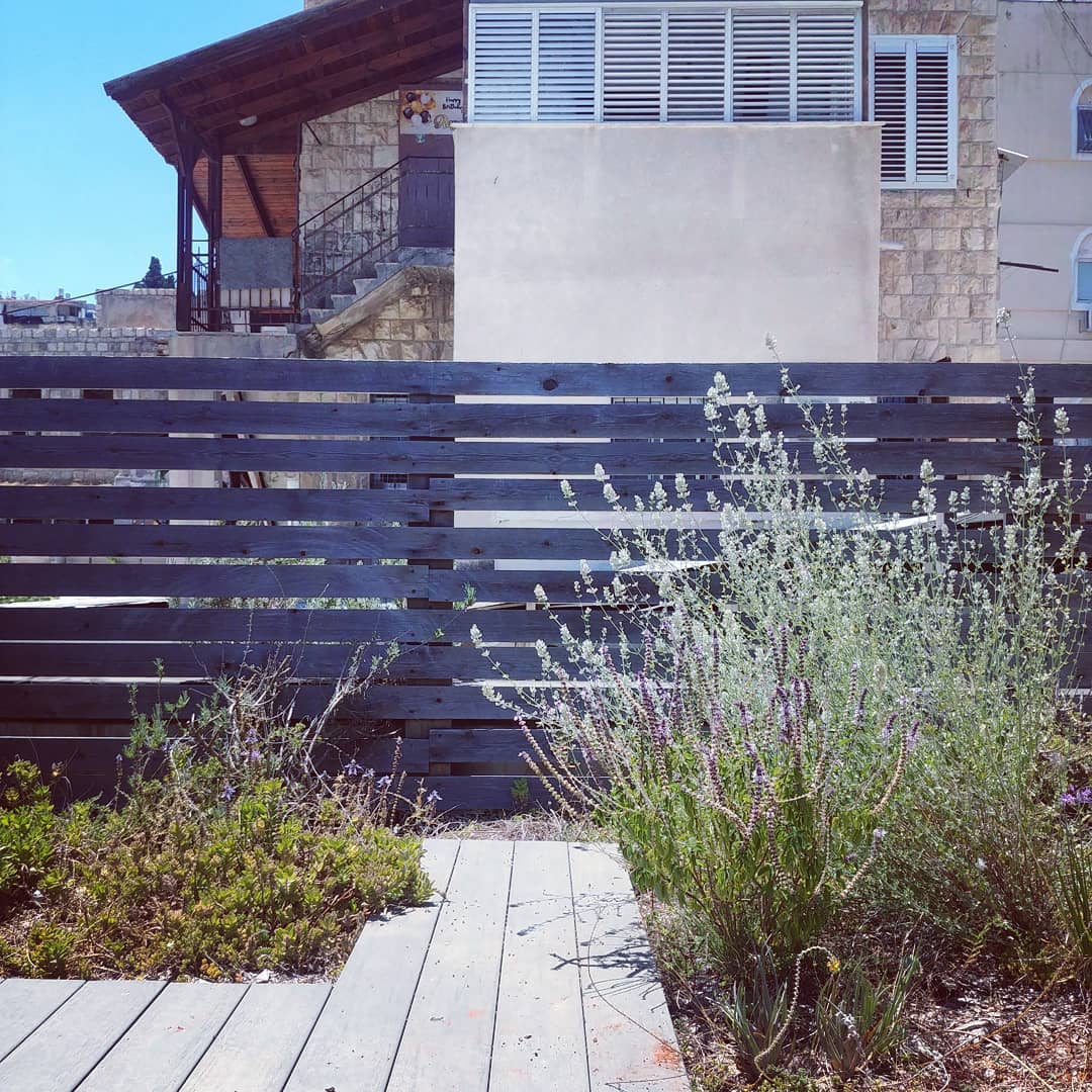 run forest run
#greenroof, #בנייןצומח, #bldveg, #גגירוק, #oikosteges,, #israel, #haifa, #גגצומח #greenroofpolicy, #greenroofs, #climatechange