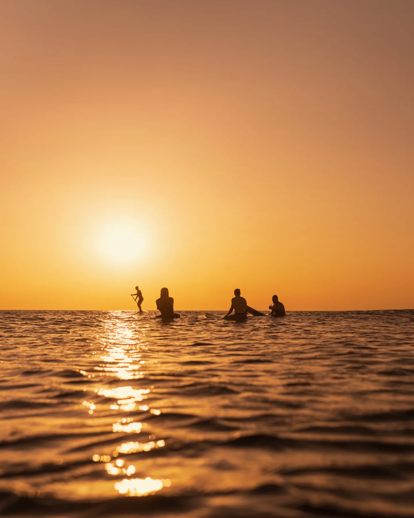 Les bains caniculaires. #indiansummer #mimizan #sunsetsession #mimizanplage #ocean #surfer #jamaissansocean #underwater #aquashot #underwaterphotography #surf #sunsetphotography #ocean #surf #coucherdesoleil #photographelandes #sunset #mimizantourisme #surfphotography #tourismelandes #biscarosse #contis #surfphotographer #landestourisme #photographemimizan #landes #leslandes #nikon #manonduport #aquatech