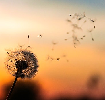 Un jour, vous pourrez dire "ça n'a pas été facile mais j'ai réussi !". #restezchezvous #instantpresent #covid_19 #psy #psychotherapie #bienetre #bordeaux #gironde