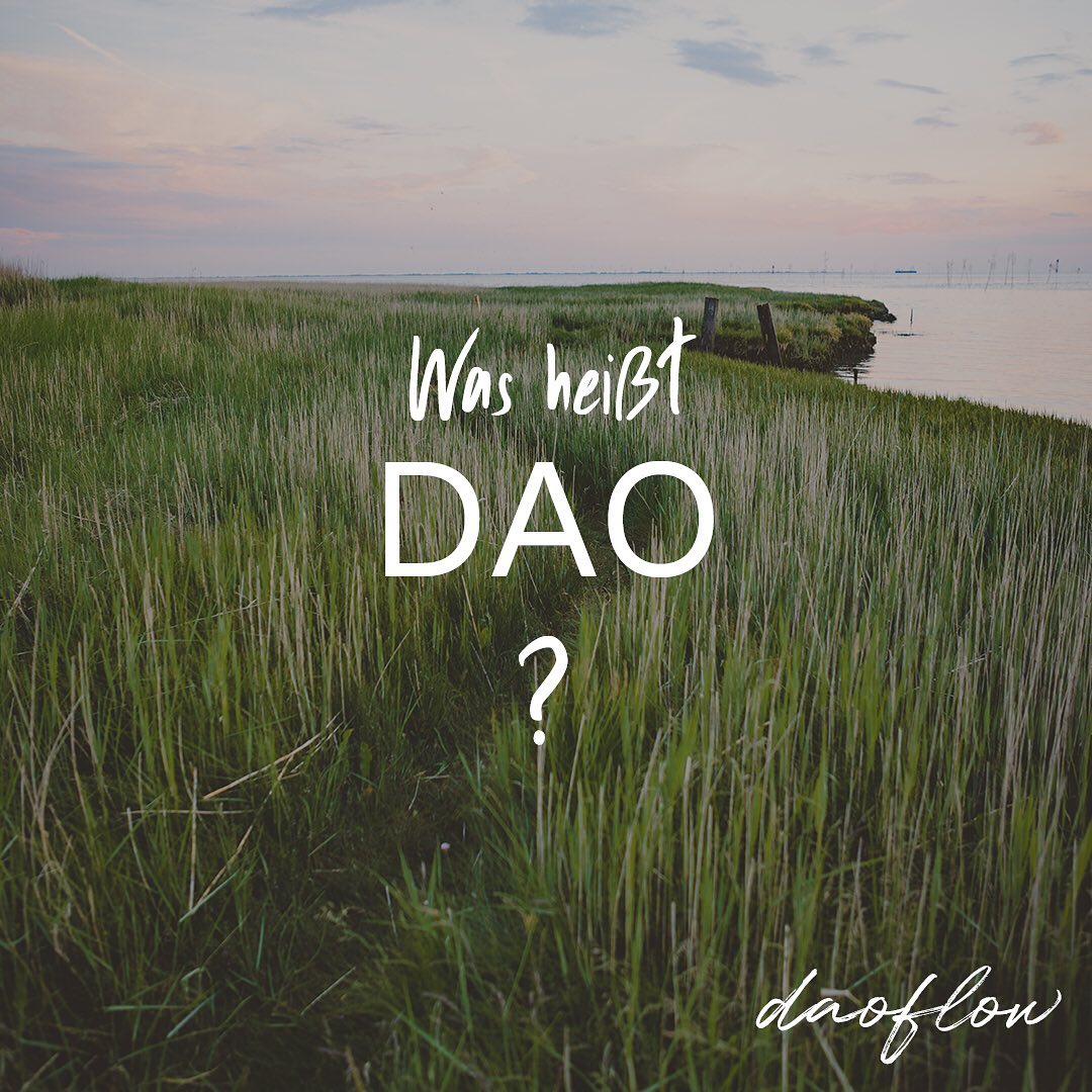 Der WEG, ist die häufigste Übersetzung des Wortes DAO. Doch umfasst dieses Wort weitaus mehr. Als der Pfad, die Methode, der Lauf der Dinge, der Ursprung wird es ebenfalls umschrieben und zeigt welche Weite in dem Begriff steckt.
Bild: @lisas_landscapes
.
.
.
.
.
#dao #daoflow #qigong #taichi #taichionline #qigongonline #taichiqigong #schönebewegung #lebenimjetzt #achtsamleben #innerebalance #innereharmonie #imeinklangmitmir #ruhigergeist #auszeitvomalltag #durchatmen #ausgeglichenheit #stressbewältigung #körperbewusstsein #sportzuhause #gesünderleben #selbstliebe #inspiration #gesundheit #healthylifestyle #lebensfreude #positivevibes #taichideutschland #qigongdeutschland #auszeit