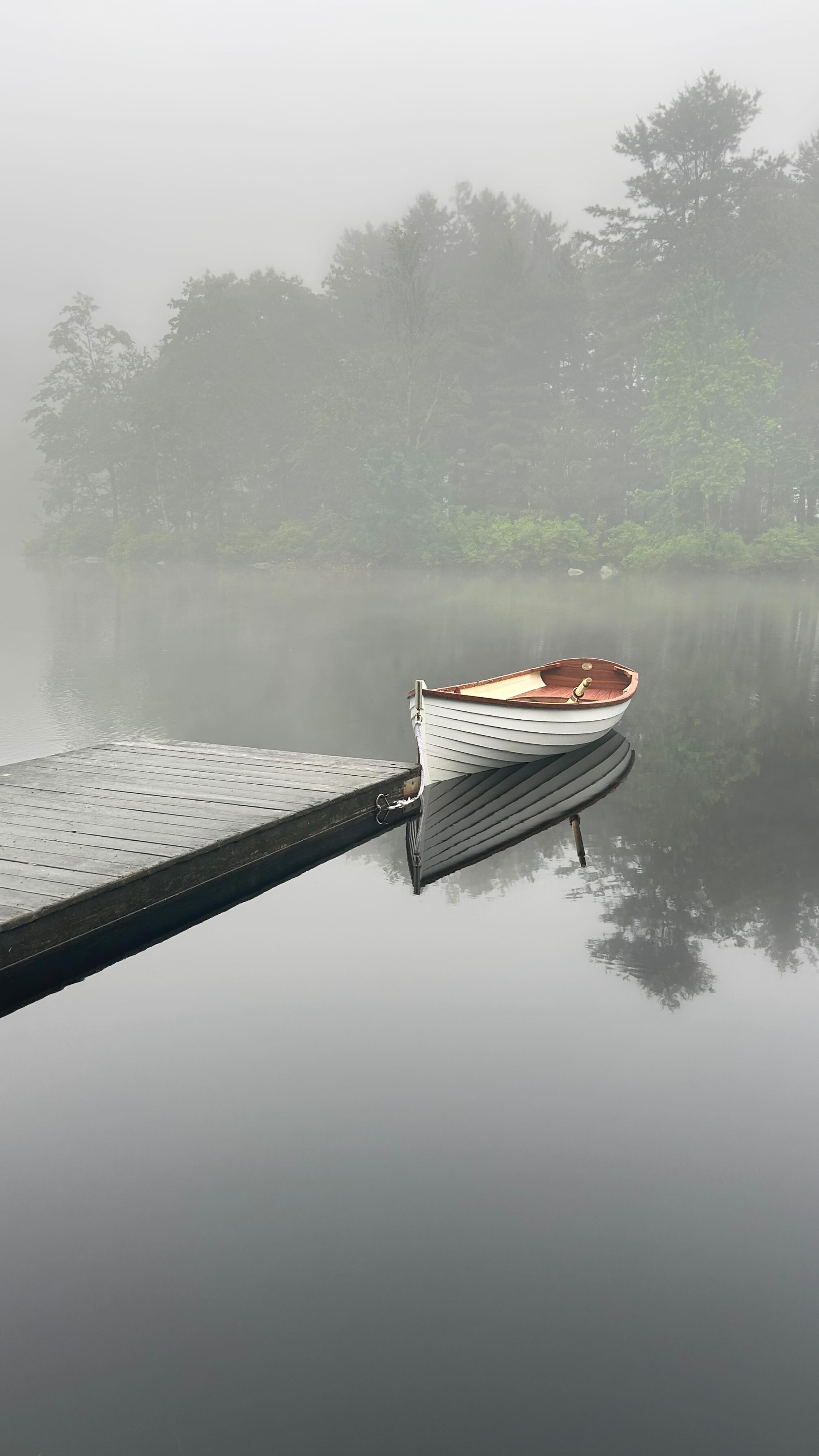 Botanicals + styling for @rollerrabbitofficial Summer ’25 campaign, featuring all local florals from @floweraggregate
Such a fun team on this one.
Photographer: @dasha_brook
Production: @corinnebravard
Models: Taylor Moore, Victoria Raemi, Claire Gallagher
Props: @did_i_stammer
Location: @thesistersofcedarlakes