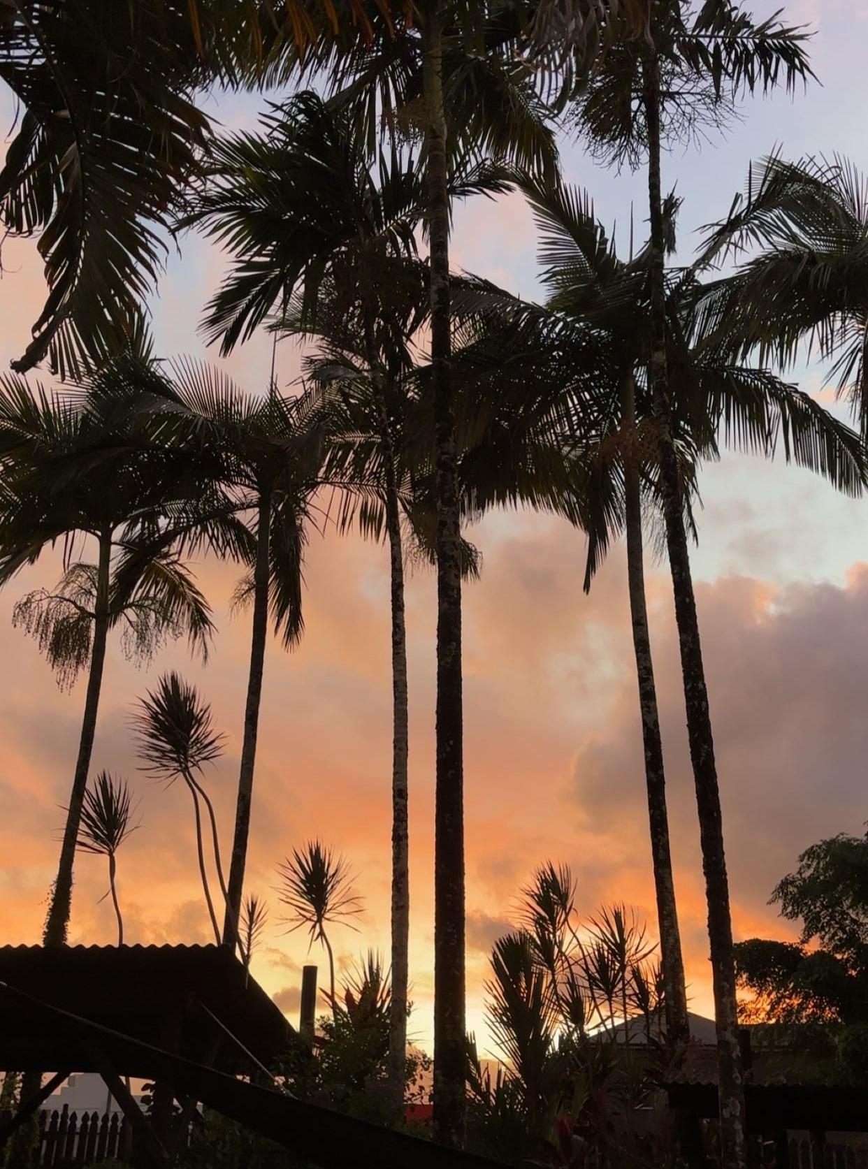 🌴
#cairns#hoste#backpackerlife