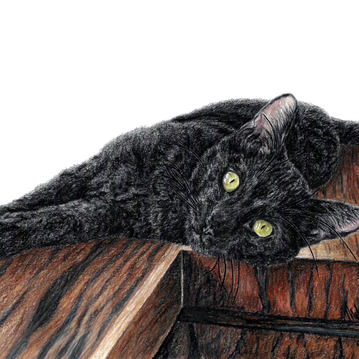 Now that is drawing was given as a gift, I can share it!
#artist #drawing #petportrait