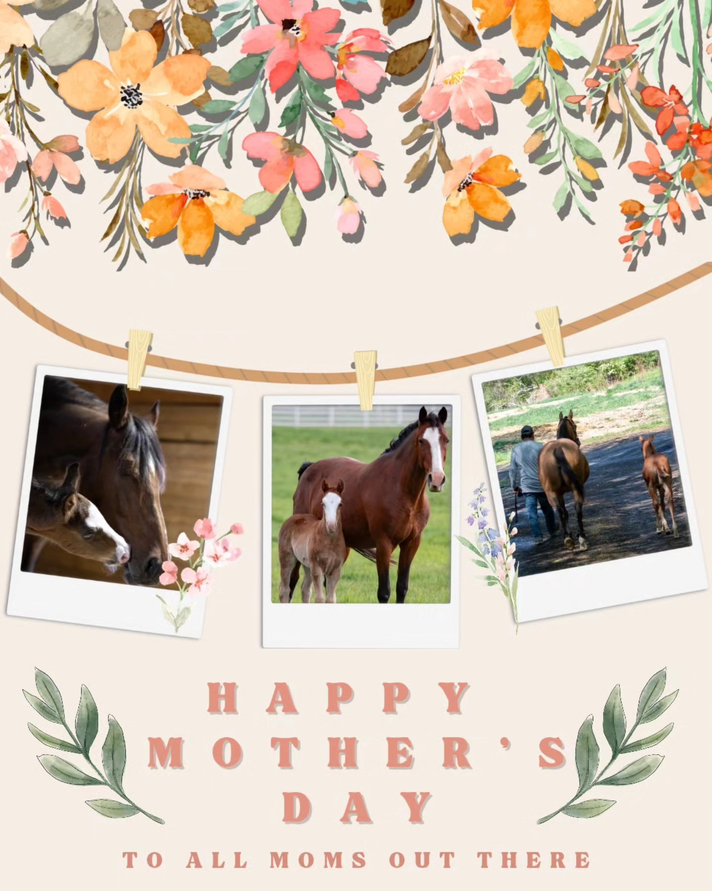Happy Mother's Day to all the Moms out there! We hope you have a wonderful day!