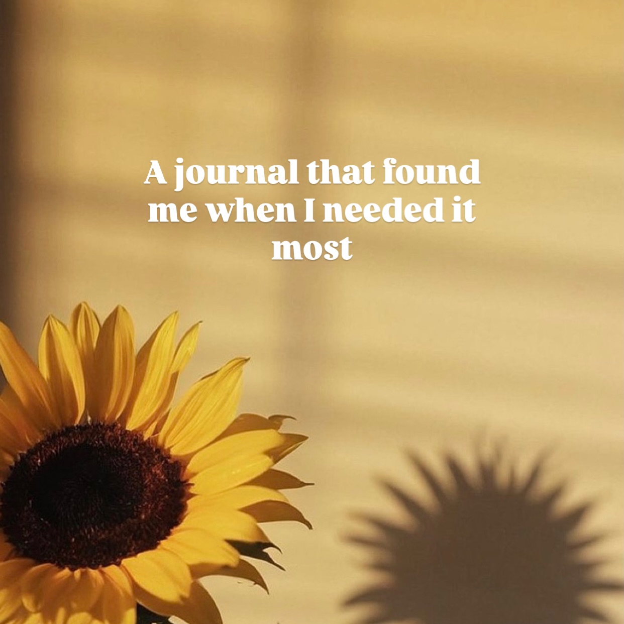 Our journals don’t just hold words, they hold seasons, stories, and transformations.
We created these journals to be gentle companions,
and hearing how they have become anchors, safe places,
and moments of grounding means so much to us.
We are endlessly grateful to be part of your journey. Thank you for entrusting us with your inner world and stories like these. 💛 Brooklyn & Sheriece xx
.
.
.
#StoriesHeldHere #GratitudeJournal #IntentionalLiving
#SlowDownAndReflect #morethanjustajournal