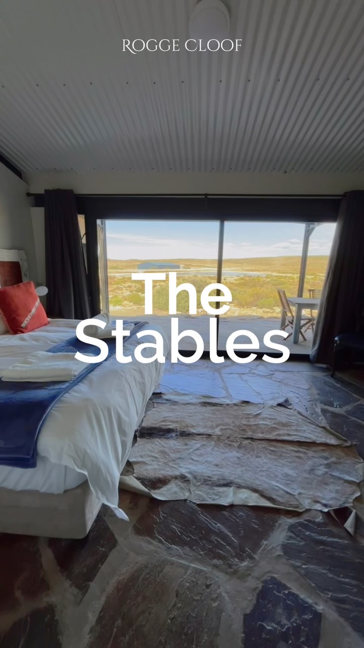 The Stables are made for travelling together without feeling on top of each other.
Space to spread out, shared tables for long meals, and enough quiet corners when you need a breather.
Outside, the braai gets going, the waterhole keeps you company, and the Karoo does what it does best, slows the whole day down.
It’s an easy place to arrive, unpack, and actually spend time together.
Find it via the link in our bio.
#luxuryecotravel #darkskyreserve #travelsouthafrica #karoo #karoolife
karooaccommodation hikingadventures hikingsouthafrica cheetahconservation cheetah sustainabletravel stargazing astrophotography sutherland astronomylover wideopenspaces natureescape nightphotography nightsky astronomy thisissouthafrica