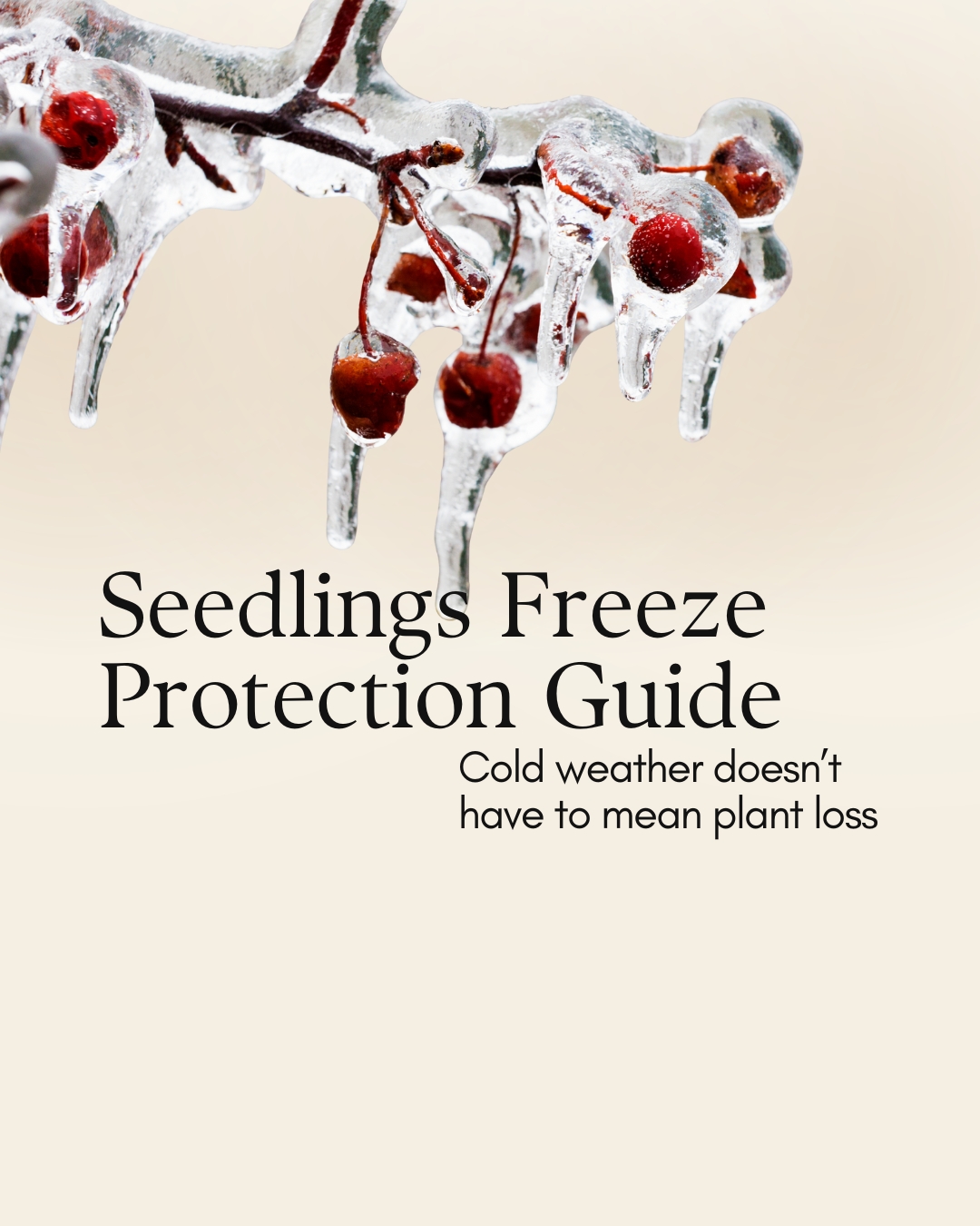 An arctic blast is expected this weekend with possible freezing rain and sleet. A friendly reminder to protect your pets, plants, pipes, and yourself. Put those comfy socks on and stay warm out there.