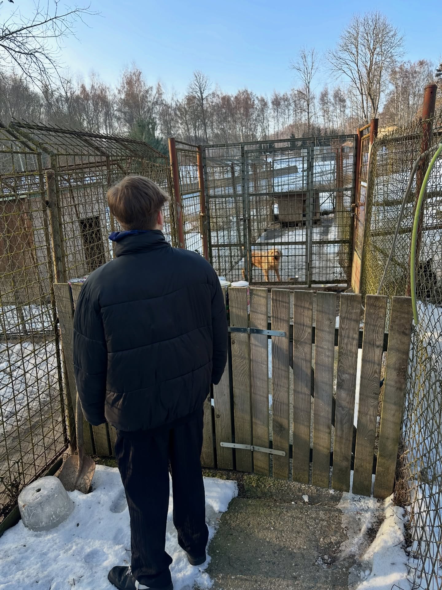 Dnešní návštěva útulku pro pejsky @🐕🦮🐩🐕