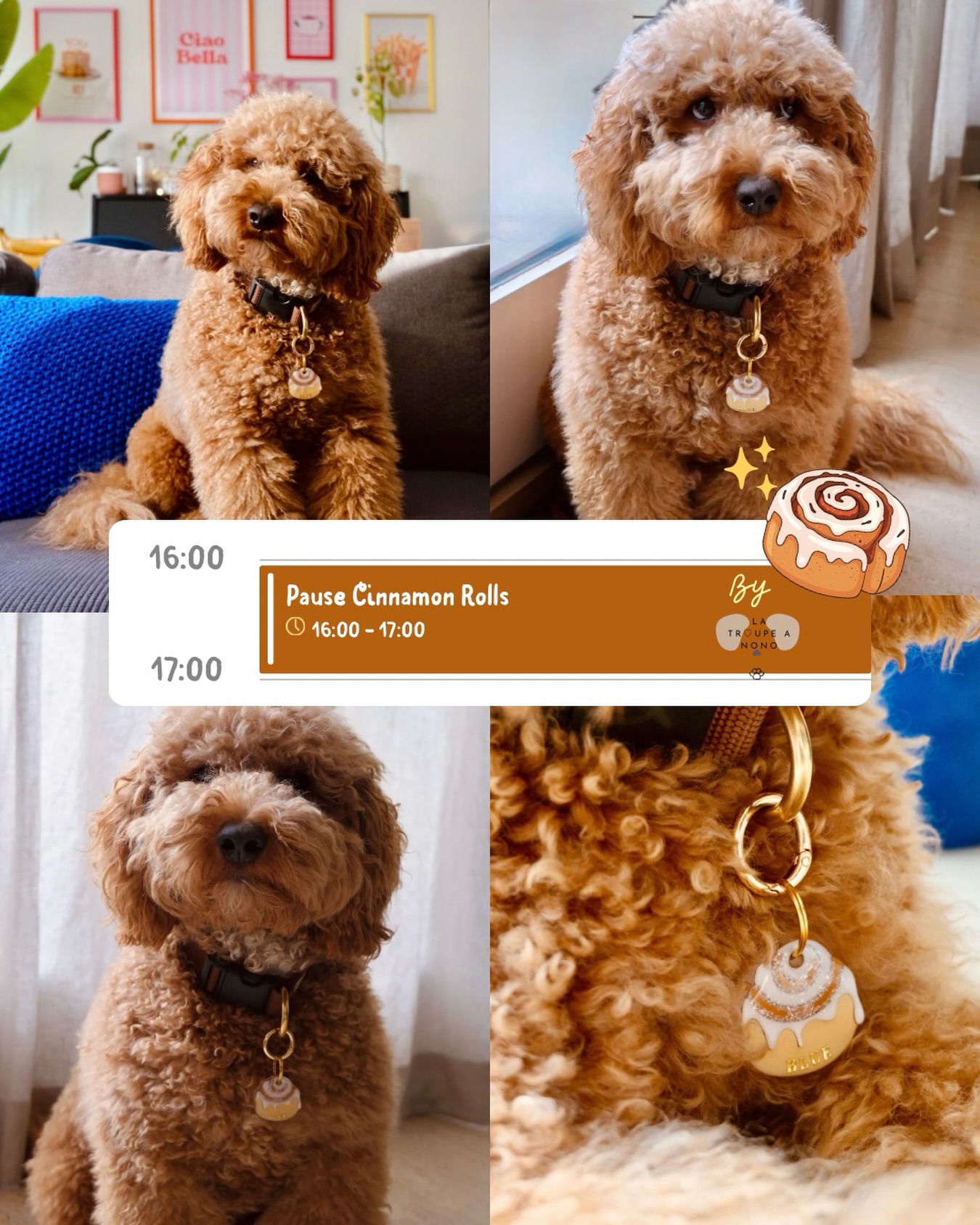 PETITE PAUSE ✨CINNAMON ROLLS
pour Blue ☕️🥐
Moule exclusif by @latroupeanono ✨
Merci @blue_pup_collection 🥹🫶🏻
#latroupeanono #chien #dogaccessoire #accessoire #dog