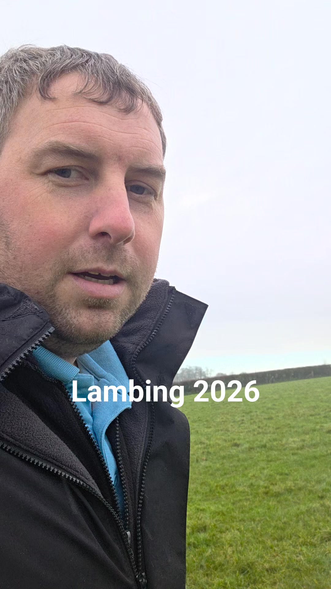 Lambing 2026 has started with these twins Llyen cross Zwartble #lambing #lambing2026 #Lambing2026